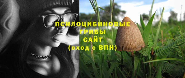 дживик Киреевск