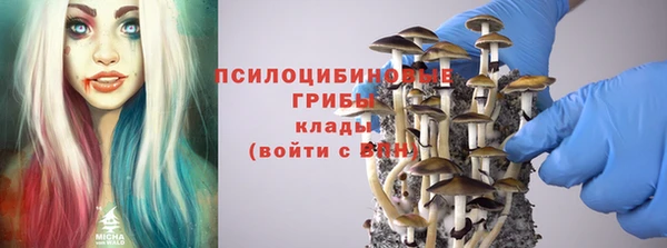 дживик Киреевск