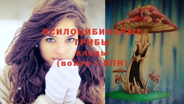 дживик Киреевск
