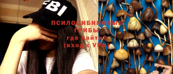 дживик Киреевск